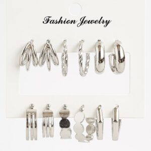 Royal Silver Earring